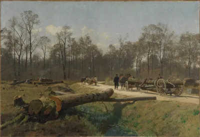 Lichtung Im Durlacher Wald