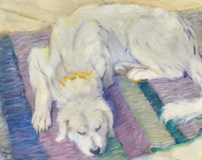 Liegender Hund Hundeportrat Von Russi