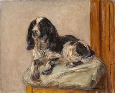 Liegender Spaniel