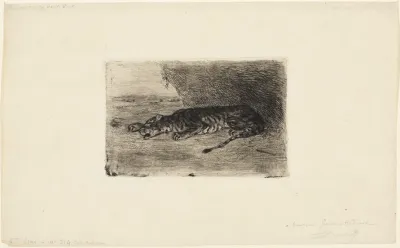 Liegender Tiger Am Eingang Seiner Hohle
