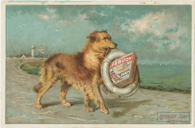 Lifebuoy Royal Disinfectant Soap