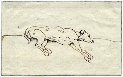 Liggende Hond