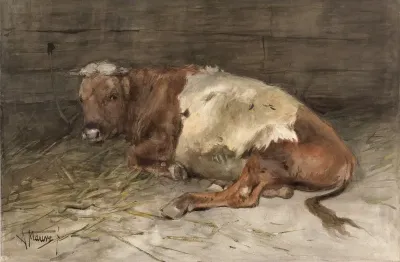 Liggende Jonge Stier