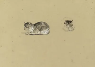 Liggende Kat 4