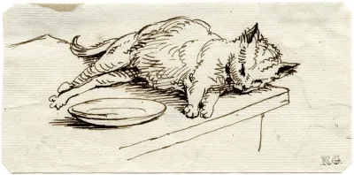 Liggende Kat Bij Bord Op Een Tafelblad