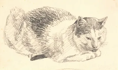 Liggende Kat