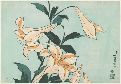 Lilies 7