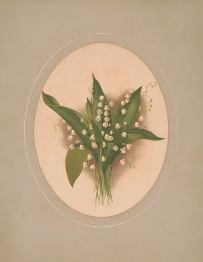 Lilies Of The Valley 2