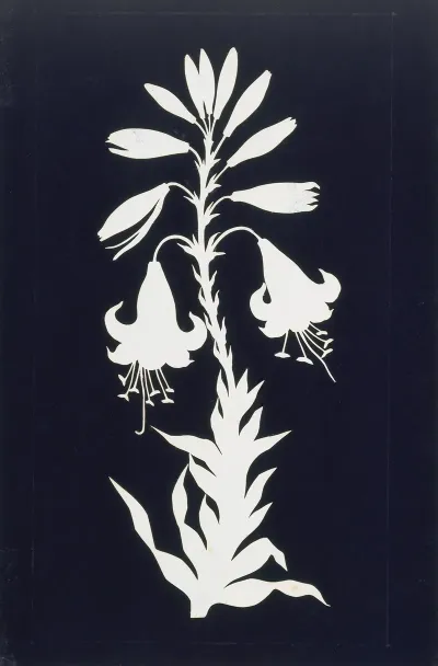 Lilly