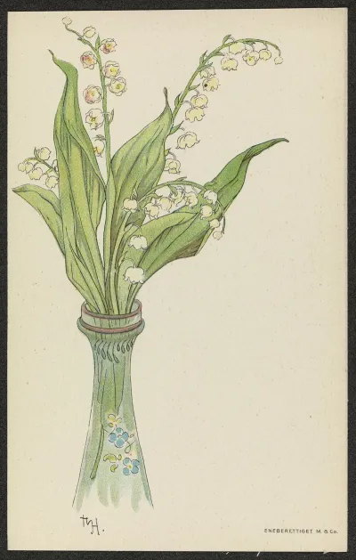 Lily Of The Valley 4