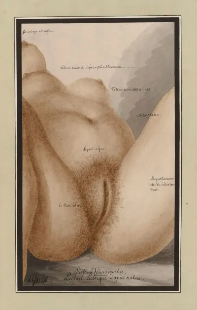 Linfame Venus Couchee Posture Lubriques Dapres Nature