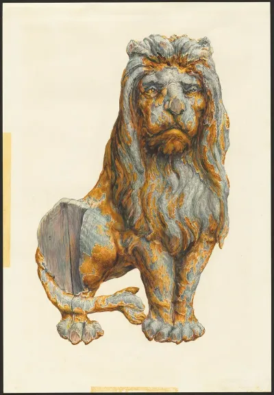 Lion 11