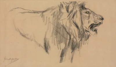 Lion 2