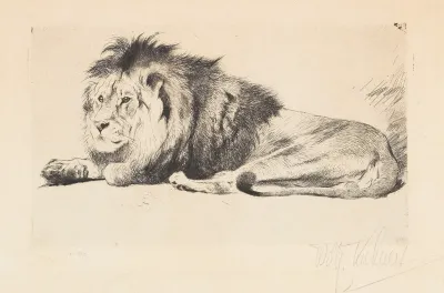 Lion 8
