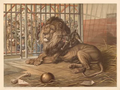 Lion And Dog