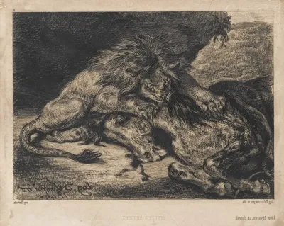 Lion Devouring A Horse 2