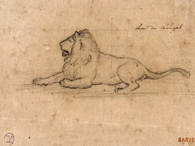 Lion Du Senegal