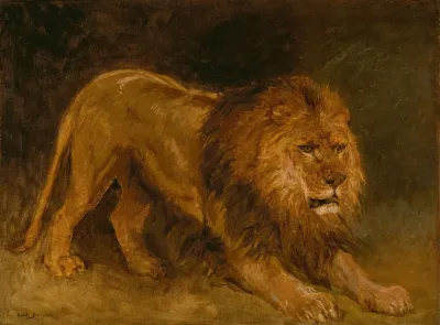 Lion Guettant Une Proie