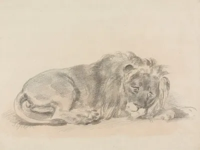 Lion Lying Down 2