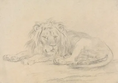 Lion Lying Down 3