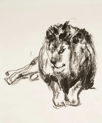Lion Lying Down