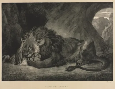 Lion Of The Atlas Mountains