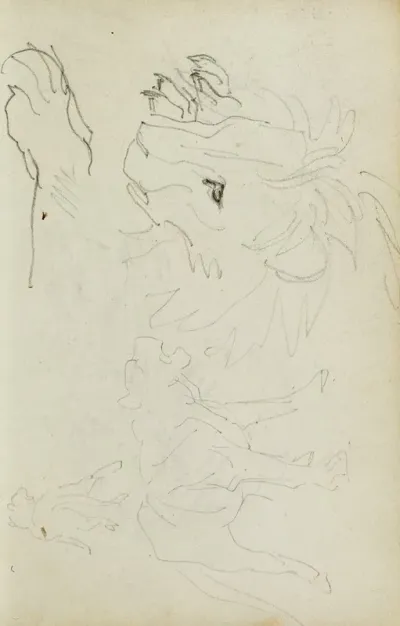 Lion Studies