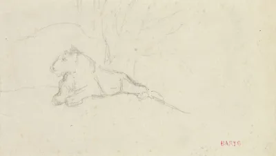 Lioness Lying Near A Tree