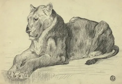 Lioness