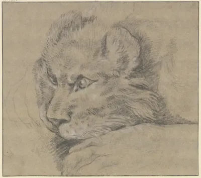 Lions Head 2