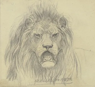 Lions Head 3
