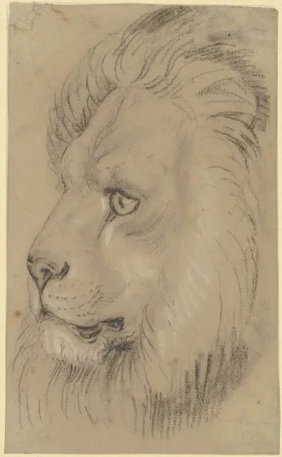 Lions Head 4