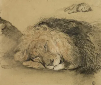 Lions Head And Sketch Of A Lion