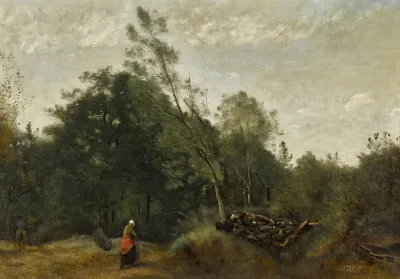 Lisiere De Bois En Limousin