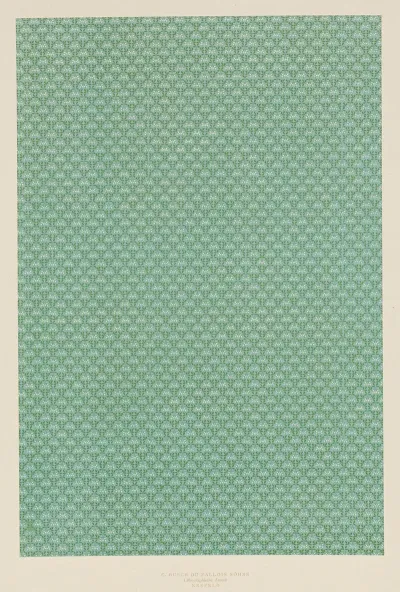 Lithografiertes Vorsatzpapier 2