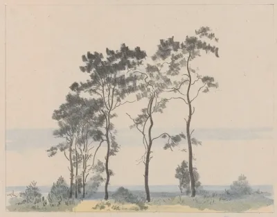 Little Pine Trees No I