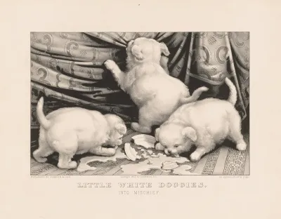 Little White Doggies Into Mischief