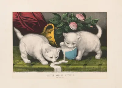Little White Kitties Into Mischief