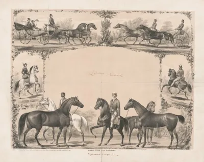 Livery Card