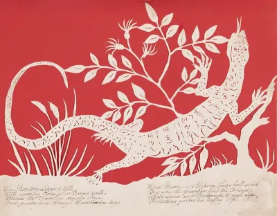 Lizard 2