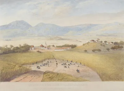 Llanrumny Estate St Marys Jamaica