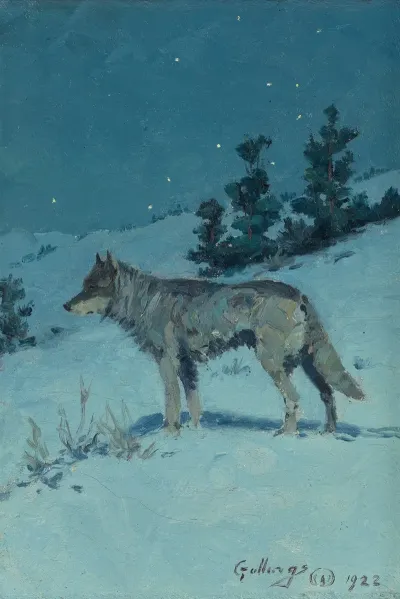 Lone Wolf In Starlight