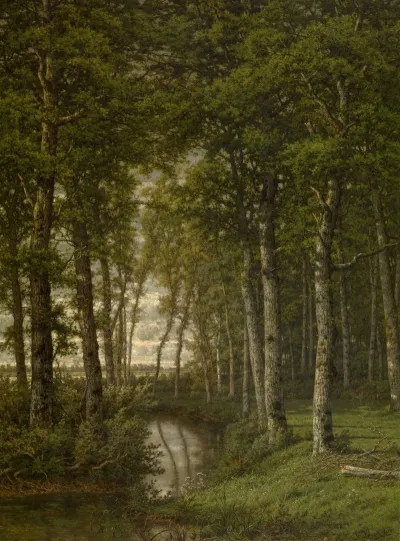 Loneliness Landscape In The Surroundings Of Schilde