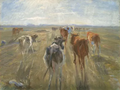 Long Shadows Cattle On The Island Of Saltholm
