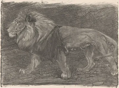 Lopende Leeuw 2