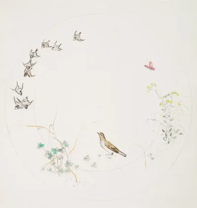 Lorage 5