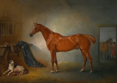Lord Henry Bentincks Chestnut Hunter Firebird And Policy A Foxhound In A Loose Box