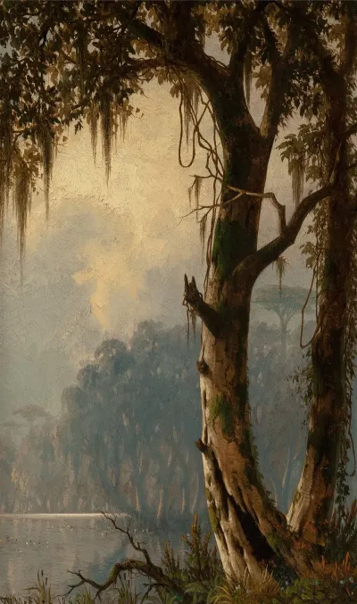 Louisiana Landscape