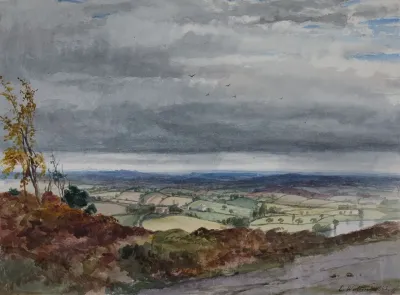 Low Hill From Cofton Hill