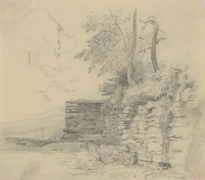 Low Overgrown Wall